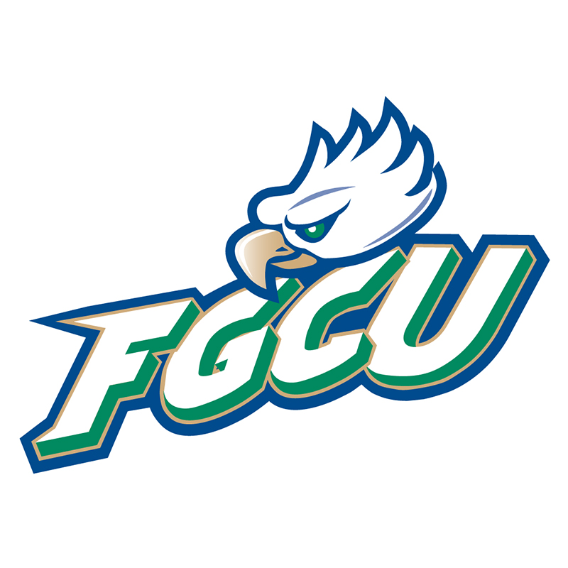 Florida Gulf Coast Eagles iron ons